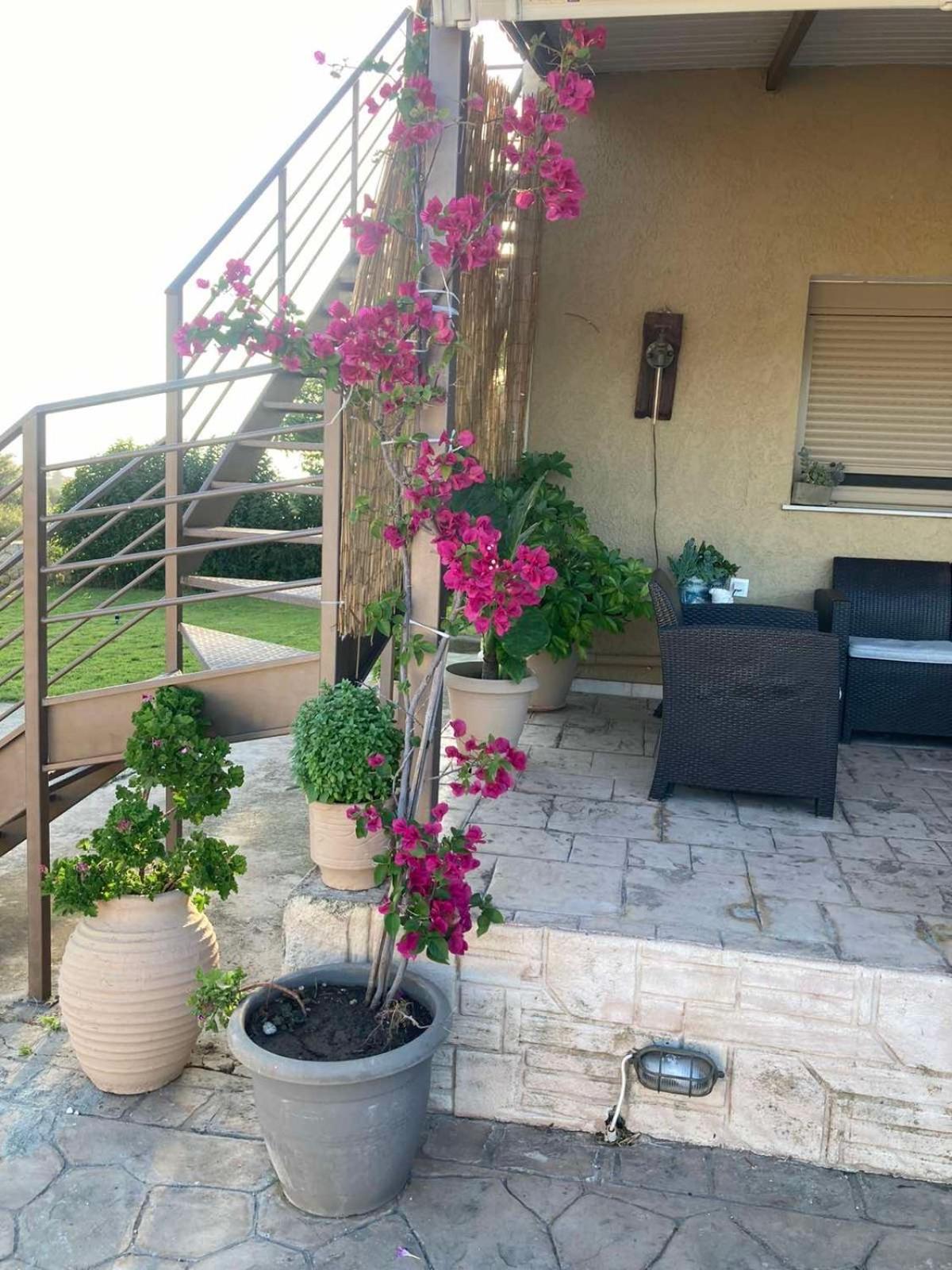 Villeta Nikol Lixúri Exterior foto